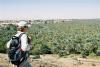 Oase Bahariya - Weitblick