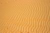 Spuren im Sand Spuren im Sand
