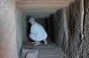 Grabschacht Qubbet el-Hawar Grabschacht Qubbet el-Hawar